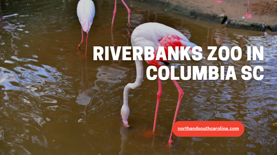 Riverbanks Zoo In Columbia South Carolina